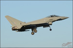 D7T_1110a