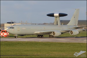 D7T_1164a