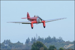 d7t_0481a