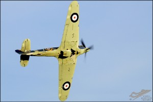 d7t_0775a