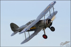 d7t_0800a