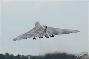 D7T_8006