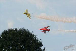 dsc_0520