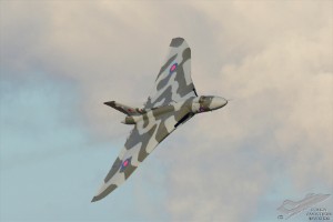 dsc_0689