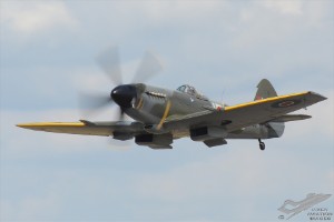 d7t_1263a