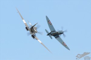 d7t_1425s