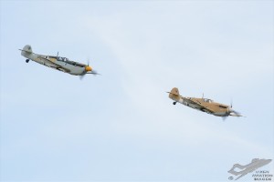 d7t_1773a