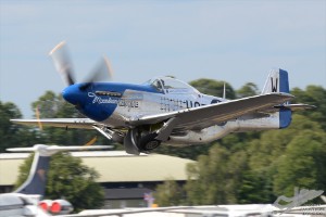 d7t_2099a