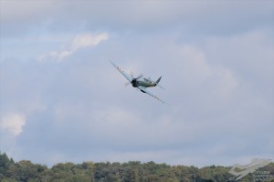 d7t_4309