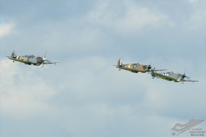 d7t_4335