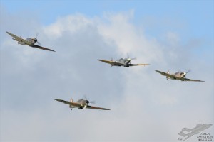 d7t_4362