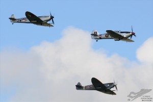 d7t_4385
