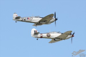 d7t_4391