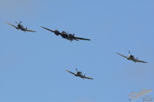 dsc_0207