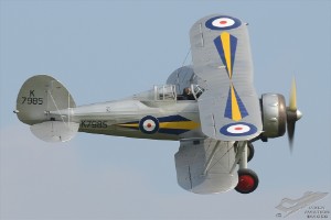 d7t_4979