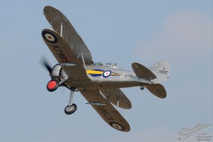 d7t_4983