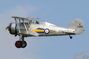 d7t_4990