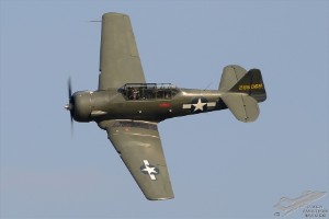 d7t_5146