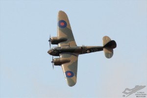 d7t_2421