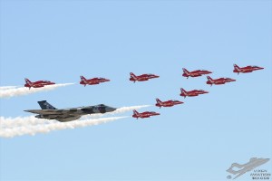 d7t_2917