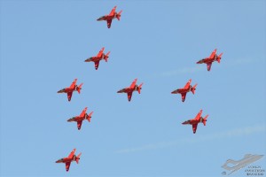 d7t_2936