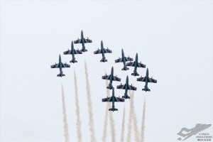 d7t_3301