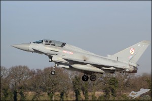 D7T_5599
