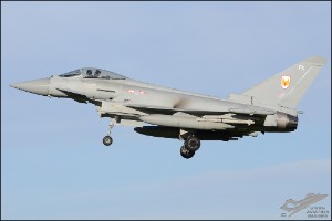 D7T_5534