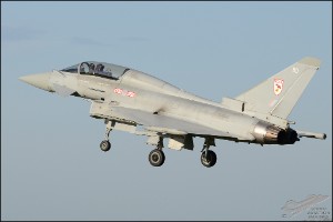 D7T_5554