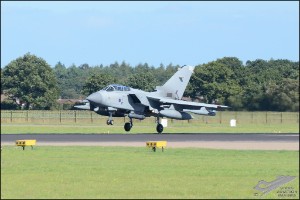 D7T_9976
