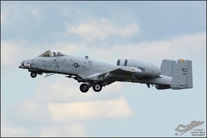 D71_0343a