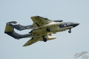 d7t_6953