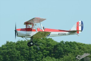 d7t_7137
