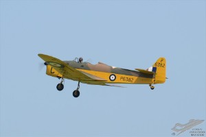 d7t_7146