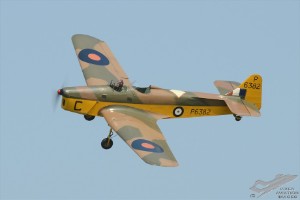 d7t_7208
