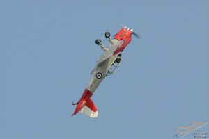 d7t_7234
