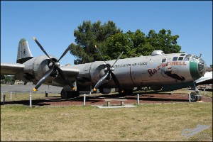 AKS_4642a