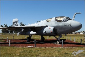 AKS_4737a