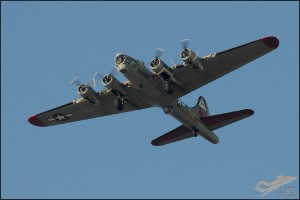AKS_5618a