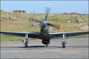 D7T_1224