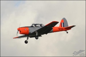D7T_5374