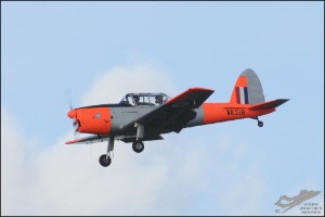 D7T_5384