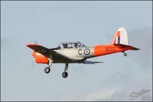 D7T_5394