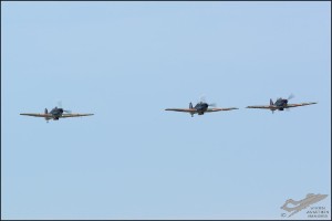 D71_7031