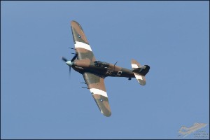 D71_7095