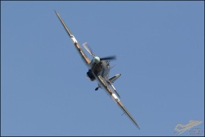 D71_7109