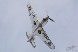 D71_7188