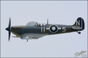 D71_7304