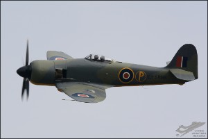 D71_7362