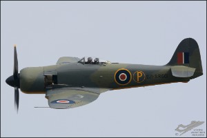D71_7365